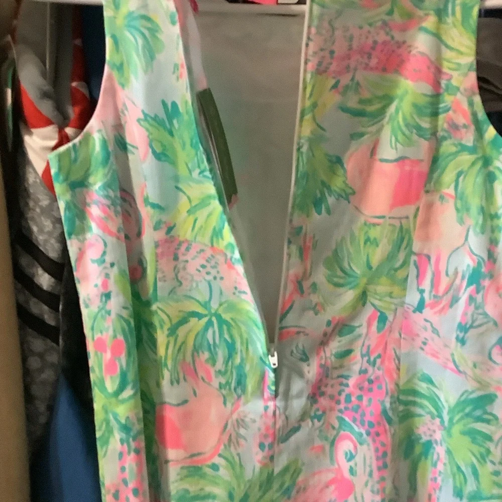 Lilly Pulitzer Floral Dress with Pink and Green On Parade Family‎ Match Preppy
